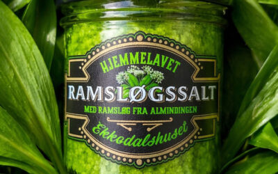 Hjemmelavet ramsløgssalt